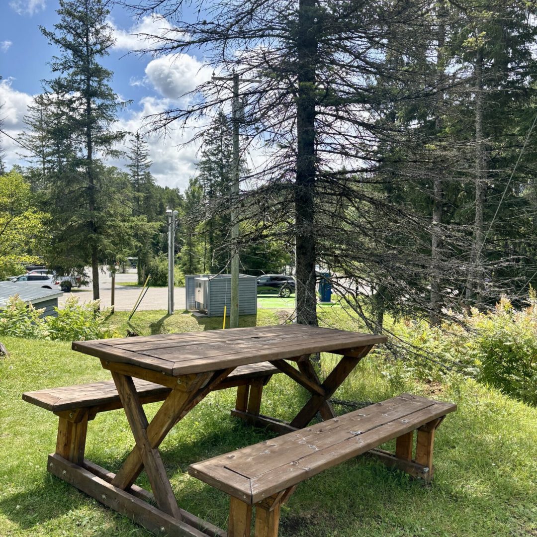 Table de pique-nique extérieure dans un environnement boisé